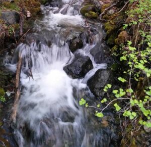Water flowing in Montana